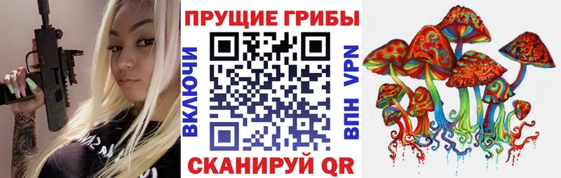 Галлюциногенные грибы Cubensis купить закладку Навашино